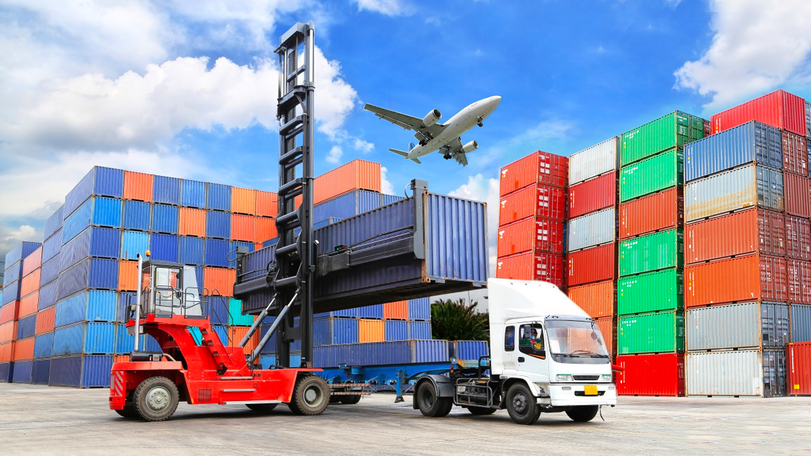 Right Freight Forwarder for Your Needs